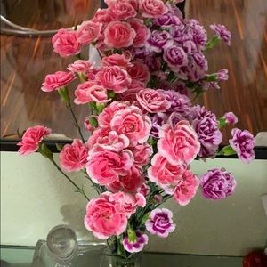 Meet your Posher, Aileen